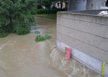 Maltempo, nubifragio nel Milanese: donna muore travolta da un albero
