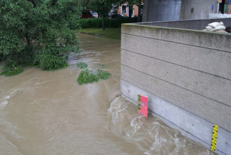 Maltempo, nubifragio nel Milanese: donna muore travolta da un albero