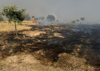 Fondo di solidarietà per gli incendi: il Governo aumenta lo stanziamento di altri 3 milioni