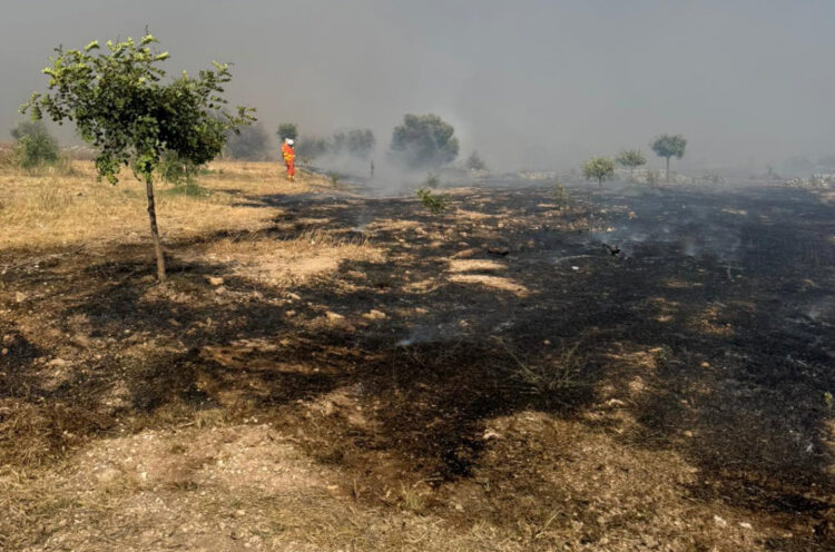 Fondo di solidarietà per gli incendi: il Governo aumenta lo stanziamento di altri 3 milioni
