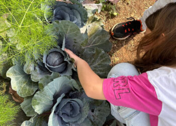 Modica, bandiera Verde all’Istituto Santa Marta Ciaceri