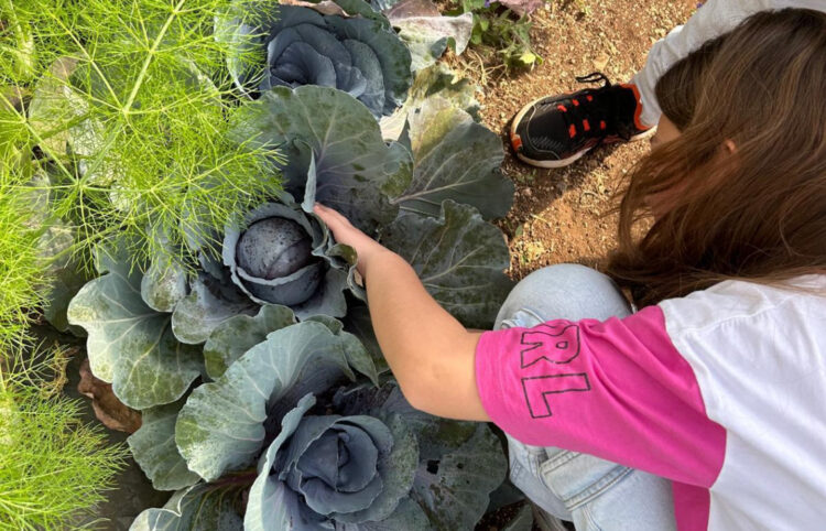 Modica, bandiera Verde all’Istituto Santa Marta Ciaceri
