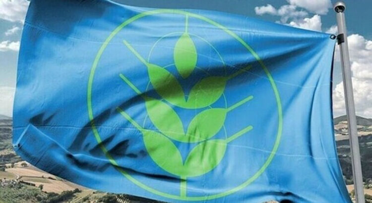 Le tre Spighe Verdi 2025 per la Sicilia sono ragusane: Ragusa, Modica e Vittoria