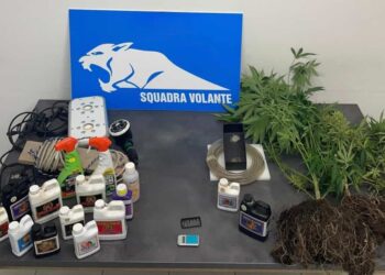 Modica, coltivava marijuana sul bacone di casa: arresto 30enne