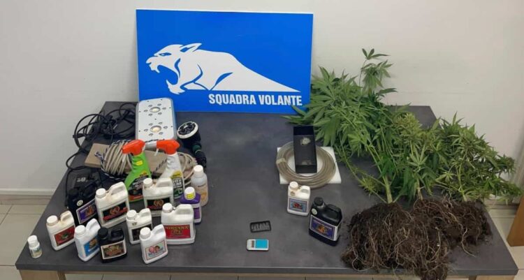 Modica, coltivava marijuana sul bacone di casa: arresto 30enne