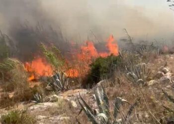 Allerta incendi in Sicilia: oggi rischio arancione, massima attenzione a Trapani