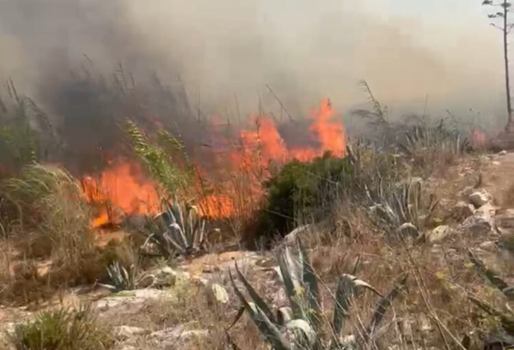 Allerta incendi in Sicilia: oggi rischio arancione, massima attenzione a Trapani