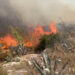 Allerta incendi in Sicilia: oggi rischio arancione, massima attenzione a Trapani