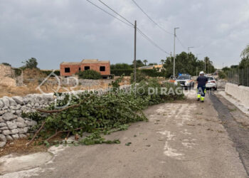 Maltempo, tromba d'aria e grandine a Modica: alberi e pali divelti