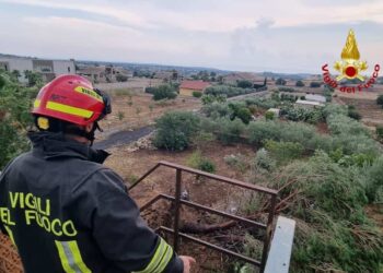 Maltempo Sicilia, tromba d'aria a Modica: paura per albero caduto su serbatoio di Gpl
