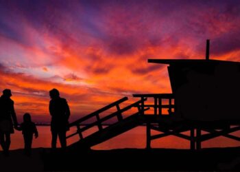 Assegno unico agosto 2025: pagamenti in arrivo, ecco il calendario e le novità