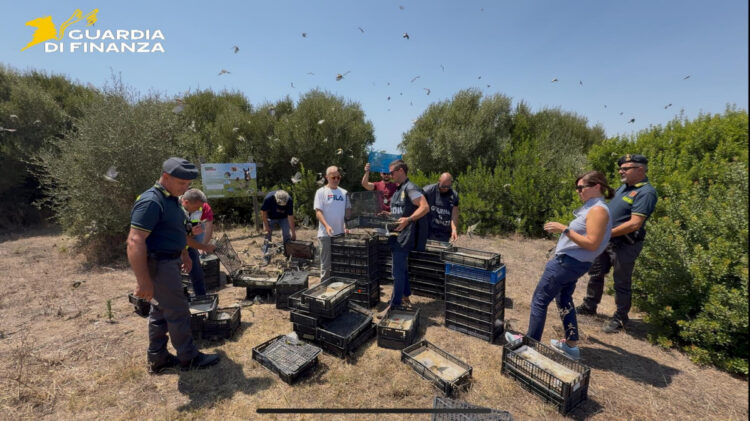 Pozzallo, scoperto traffico illegale di 2.687 volatili destinati al mercato maltese