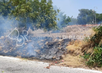 Incendio a Scicli, fuoco in contrada Paglierelli