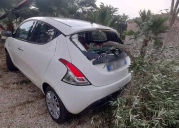 Maltempo, tromba d'aria a Modica: le FOTO dei danni