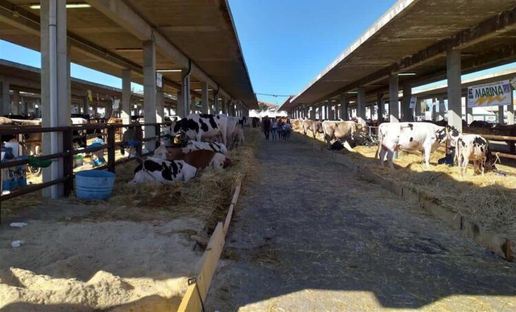 La Fiera Agroalimentare Mediterranea di Ragusa celebra la 50esima edizione