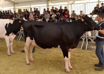 Fiera Agroalimentare Mediterranea di Ragusa: tre giorni di eventi tradizione e innovazione