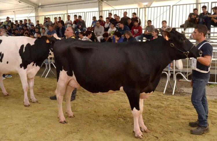 Fiera Agroalimentare Mediterranea di Ragusa: tre giorni di eventi tradizione e innovazione