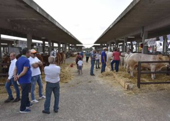 La Fam di Ragusa dà i numeri: 50 anni di storia, crescita e innovazione