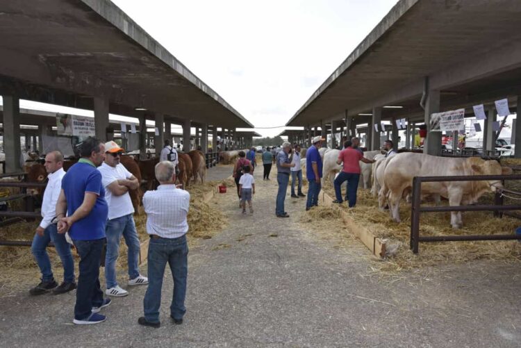 La Fam di Ragusa dà i numeri: 50 anni di storia, crescita e innovazione