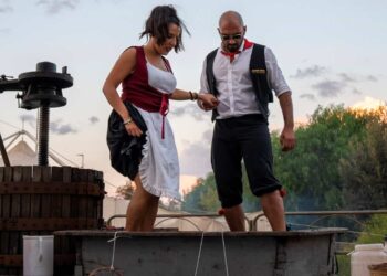 Torna la Sagra della Vendemmia a Pedalino