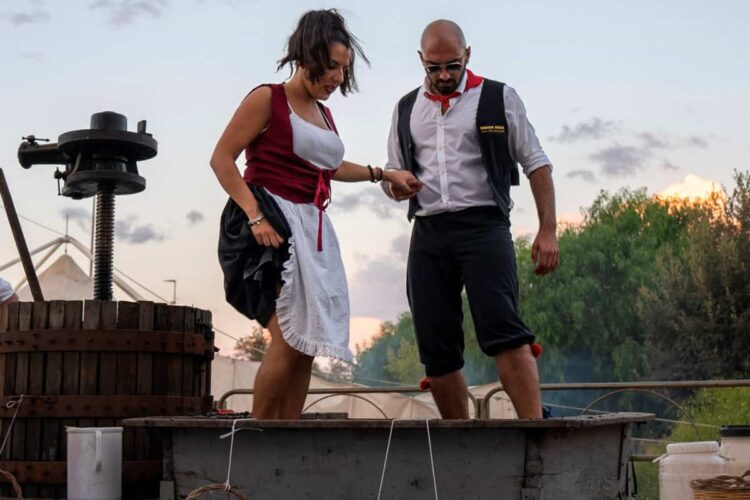 Torna la Sagra della Vendemmia a Pedalino