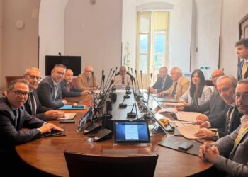 Il futuro degli Asu oggi in I Commissione