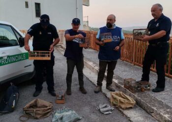 Ragusa, preapertura della caccia: primi sequestri della Polizia Provinciale