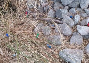 Cacciatori sparano a pochi metri dal canile di Chiaramonte Gulfi: Lav protesta