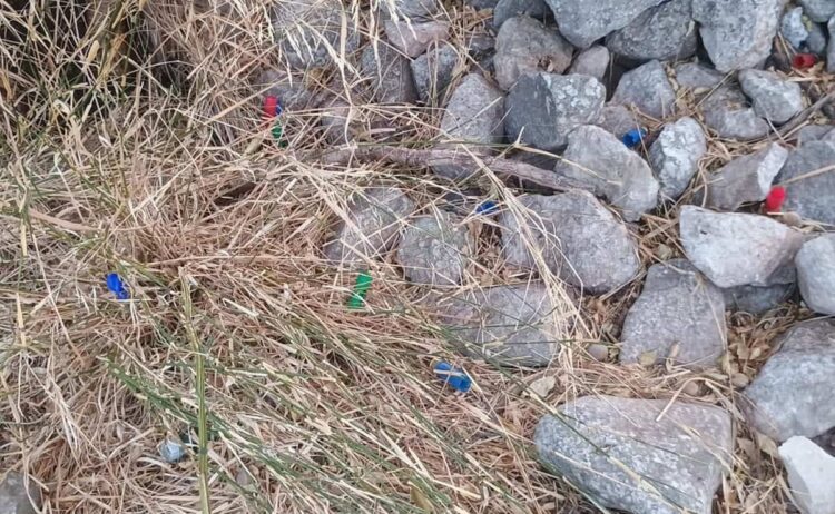 Cacciatori sparano a pochi metri dal canile di Chiaramonte Gulfi: Lav protesta