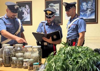 Scoglitti, vittoriese nascondeva 83 grammi di marijuana in casa e nel suo negozio: arrestato