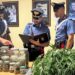 Scoglitti, vittoriese nascondeva 83 grammi di marijuana in casa e nel suo negozio: arrestato