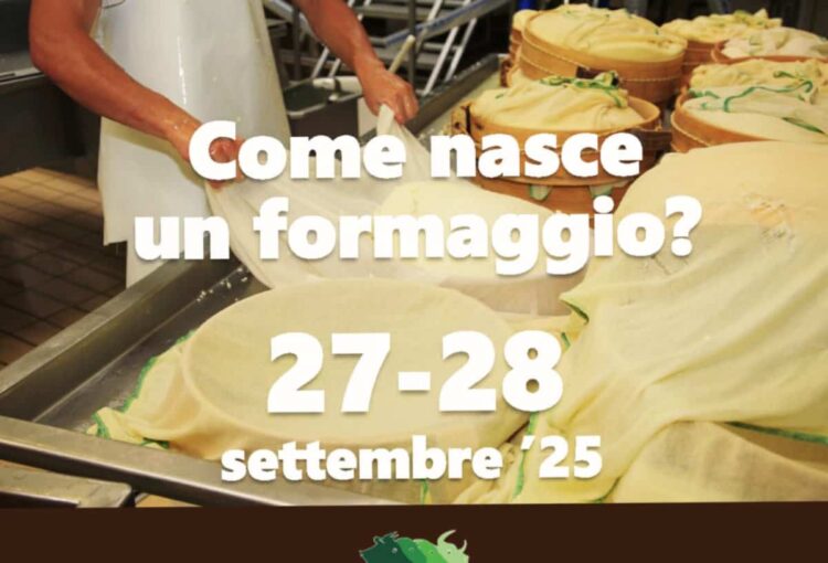 Ragusa, la Masseria Ventosa alla Caseifici Open Day 2025: ecco come partecipare