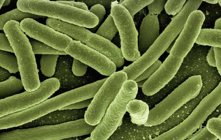 Acqua di Scicli e Jungi non potabile da ieri: rilevata escherichia coli e batteri coliformi