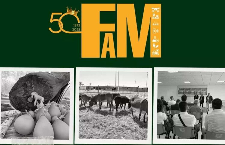 Fiera Agroalimentare Mediterranea Ragusa: tutto pronto per la 50esima edizione