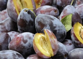 Dieta della frutta, esempio menù settimanale: ecco cosa puoi e cosa non puoi mangiare