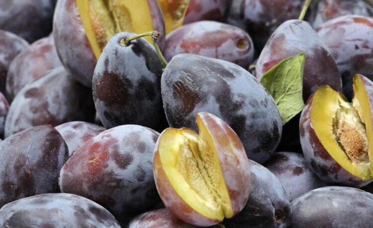 Dieta della frutta, esempio menù settimanale: ecco cosa puoi e cosa non puoi mangiare