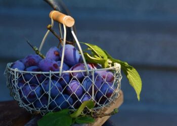 Dieta di settembre: ecco un menù settimanale per rimettersi in forma