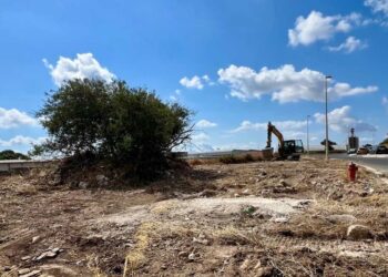 Ragusa, tutela degli animali e contrasto al randagismo: intervento in zona artigianale