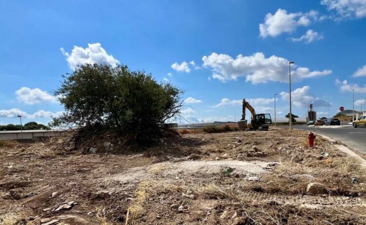 Ragusa, tutela degli animali e contrasto al randagismo: intervento in zona artigianale