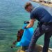 Scicli, sequestrati 700 ricci di mare tra Cava D'Aliga e Sampieri