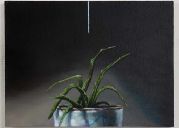 Modica, la mostra Frammenti. Di piante, di cose, di mondo alla SACCA gallery