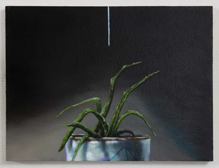 Modica, la mostra Frammenti. Di piante, di cose, di mondo alla SACCA gallery