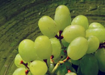 Dieta del rientro dalle vacanze: 8 regole per riattivare il metabolismo: menù