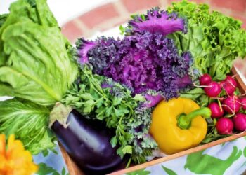 Dieta per il cervello: i cibi riducono il rischio di Alzheimer del 22%