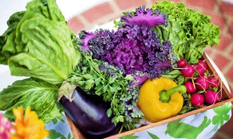 Dieta per il cervello: i cibi riducono il rischio di Alzheimer del 22%