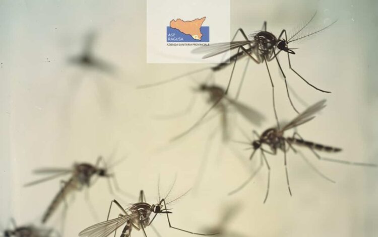 Asp Ragusa, West Nile: cos'è, come si trasmette e le misure di prevezione