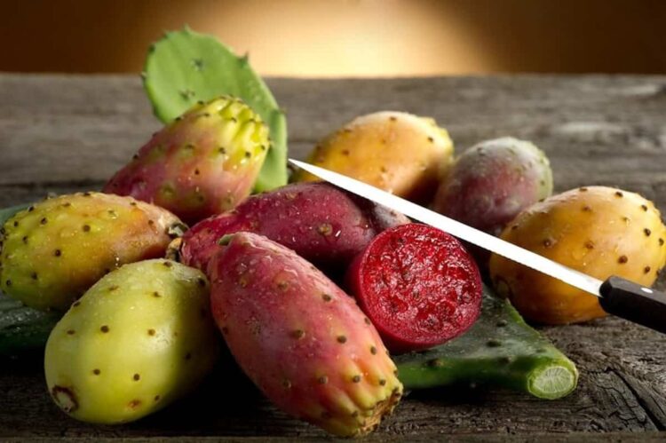 Ragusa e il Fico d'India (Ficurinnia): il frutto, il ricordo ed una storia