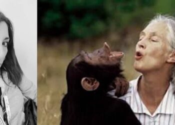 ane Goodall, faro di scienza e coscienza: un esempio di cittadinanza e armonia tra uomo e natura