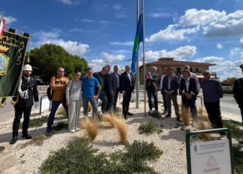 Ragusa, a San Giacomo la Bandiera Spighe Verdi