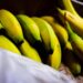 Dieta delle banane per dimagrire: ecco come funziona